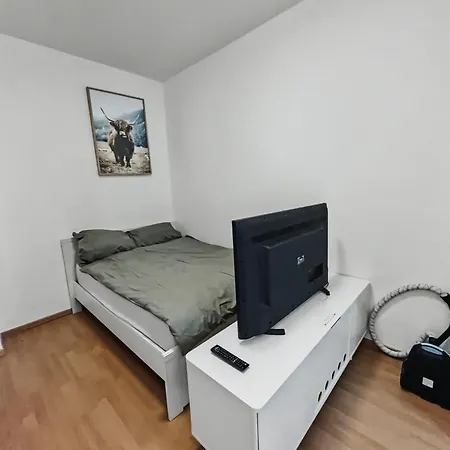 Staytime - Wildflower *