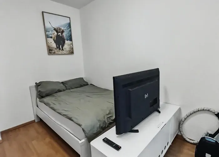 Staytime - Wildflower *